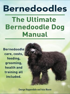 cover image of Bernedoodles. the Ultimate Bernedoodle Dog Manual. Bernedoodle care, costs, feeding, grooming, health and training all included.